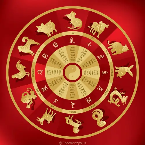 12 Zodiac Signs