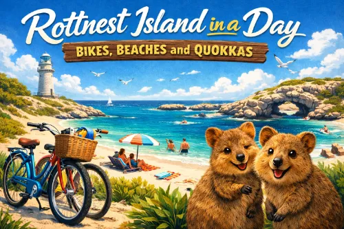 Rottnest Island in a Day
