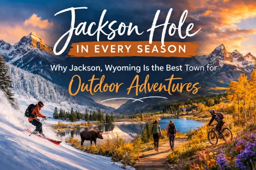Jackson Hole in every season